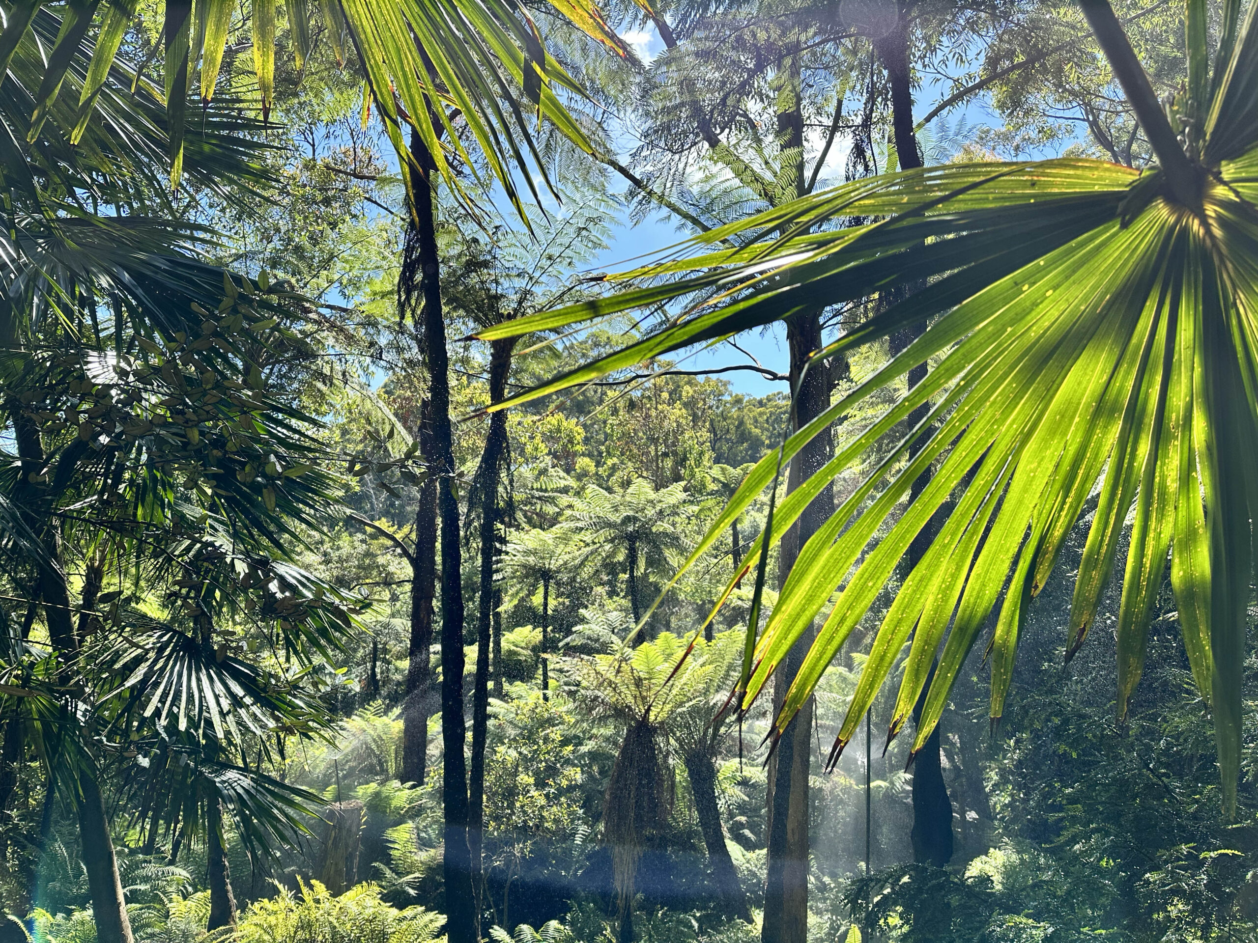 Mount Lofty Botanic Garden