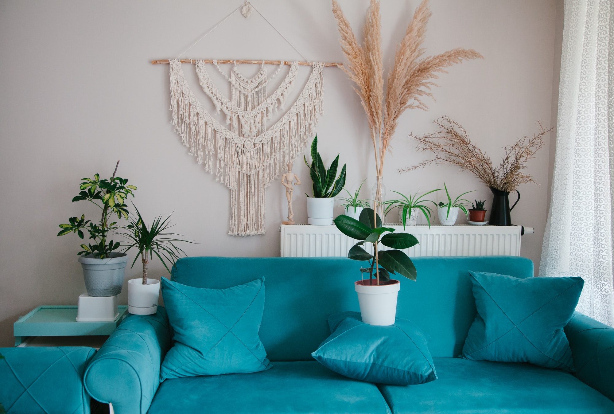 Boho Interior with plants
