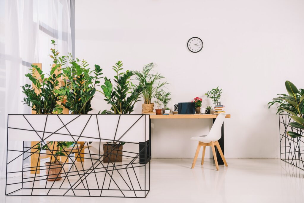interior of business office with green potted plants