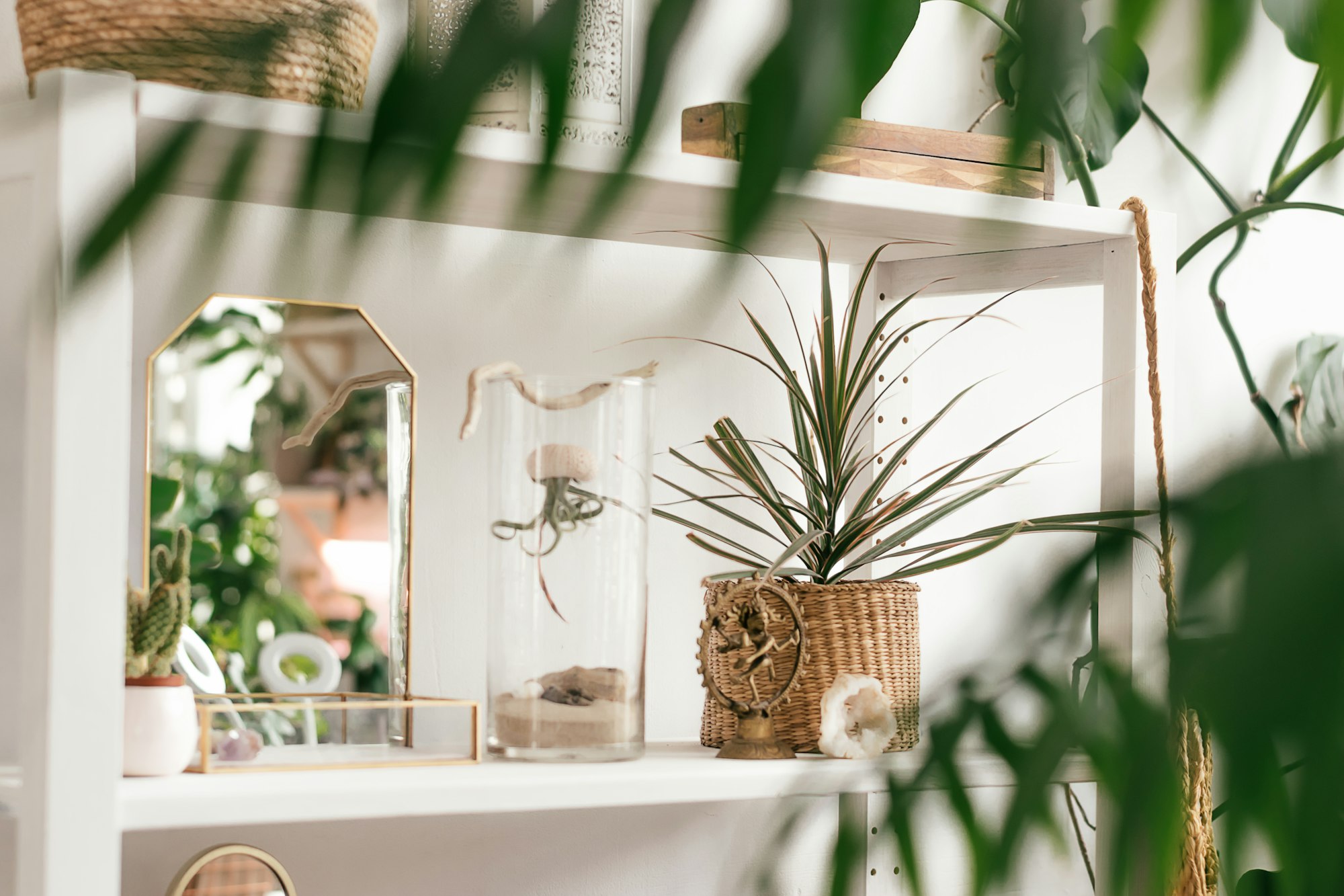 Minimalistic white shelving with indoor plants, decorative elements on the shelves.