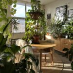 The Botanic Designer