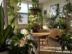 The Botanic Designer