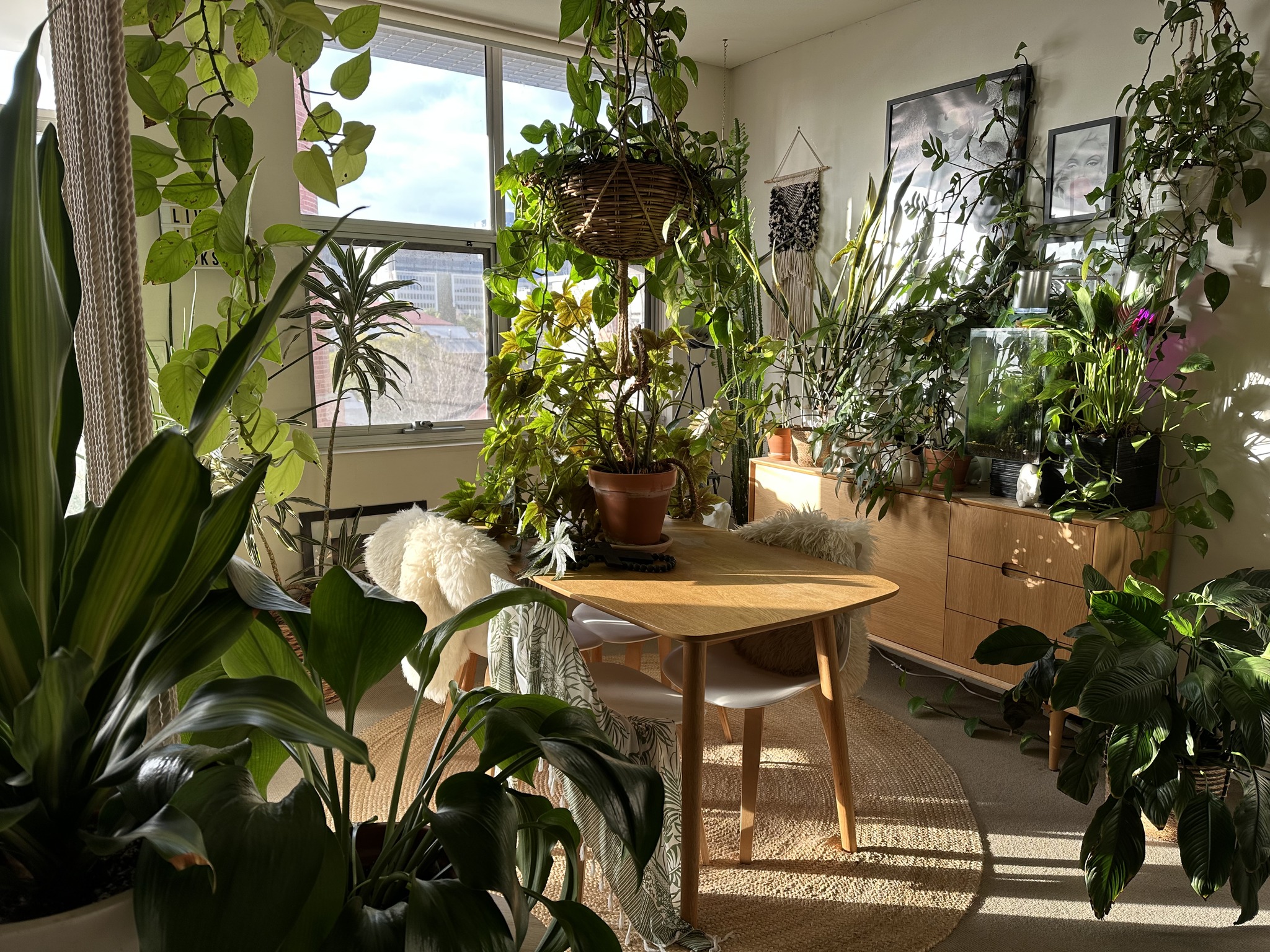 The Botanic Designer